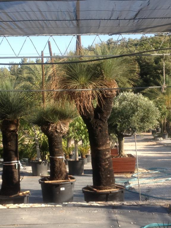 Two Rooms Hotel Urla Exterior foto